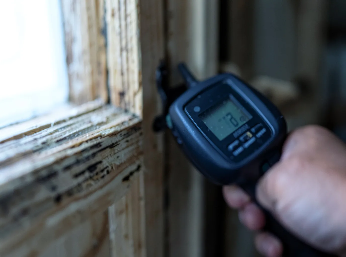 Commercial Water Damage Restoration in Chenoa, IL